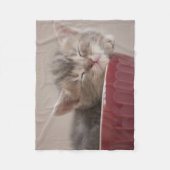 Couverture Polaire Chaton dormant dans une cuvette (Devant)