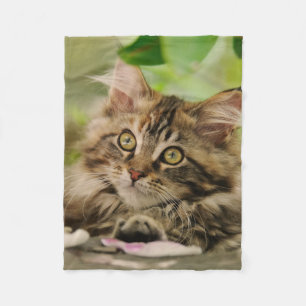 Couverture Polaire Chaton mignon de ragondin du Maine
