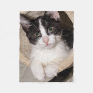 Couverture Polaire Chaton noir et blanc