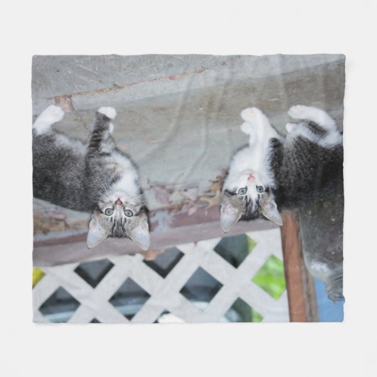 Couverture Polaire Chatons (Devant (Horizontal))