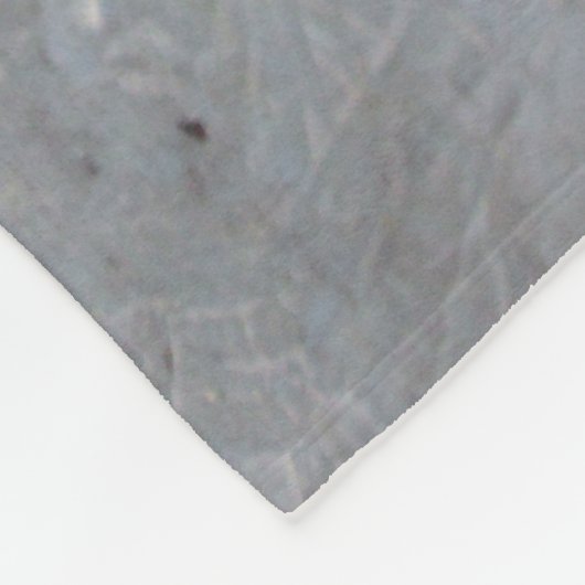 Couverture Polaire Chatons (Coin)