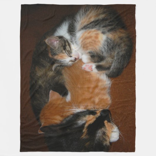 Couverture Polaire Chatons somnolents (Devant)