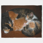 Couverture Polaire Chatons somnolents (Devant (Horizontal))