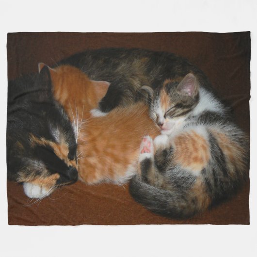 Couverture Polaire Chatons somnolents (Devant (Horizontal))