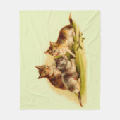 Couverture Polaire chatons victoriens (Devant)