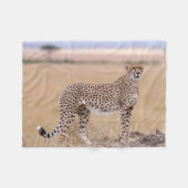 Couverture Polaire Cheetah (Devant (Horizontal))