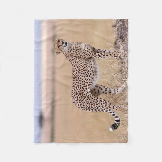 Couverture Polaire Cheetah (Devant)