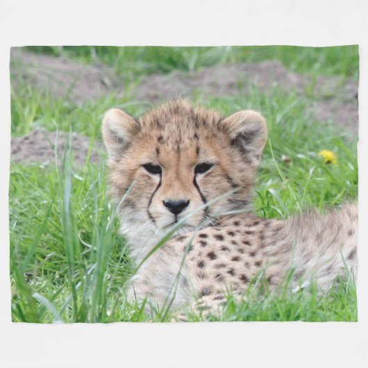 Couverture Polaire Cheetah20150904 (Devant (Horizontal))
