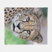 Couverture Polaire Cheetah 009 (Devant (Horizontal))