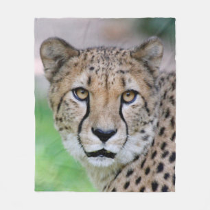 Couverture Polaire Cheetah_2014_0901