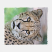 Couverture Polaire Cheetah_2014_0901 (Devant (Horizontal))