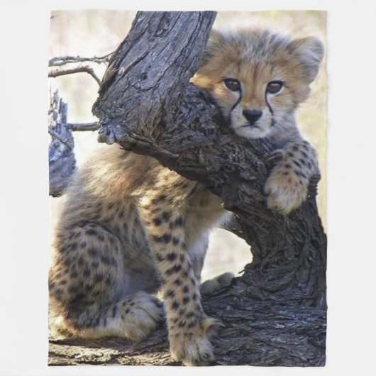 COUVERTURE POLAIRE CHEETAH CUB (Devant)