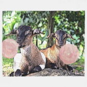 Couverture Polaire CHÈQUE | Bubblegum Baby Chèvres par GetYerGoat™ (Devant (Horizontal))