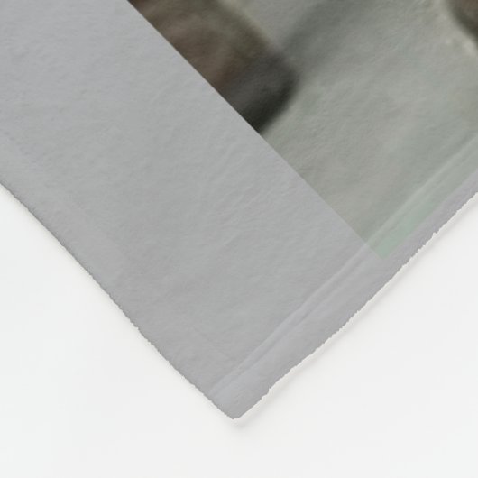 COUVERTURE POLAIRE CHER PÈRE LOURD (Coin)