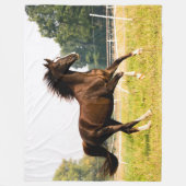 COUVERTURE POLAIRE CHEVAL (Devant)
