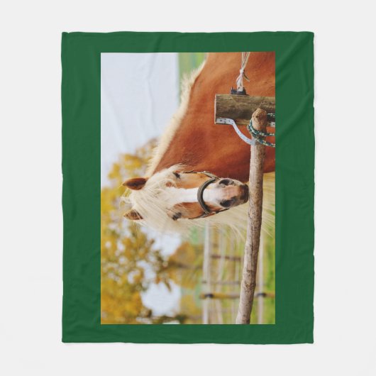 Couverture Polaire Cheval à la porte (Devant)