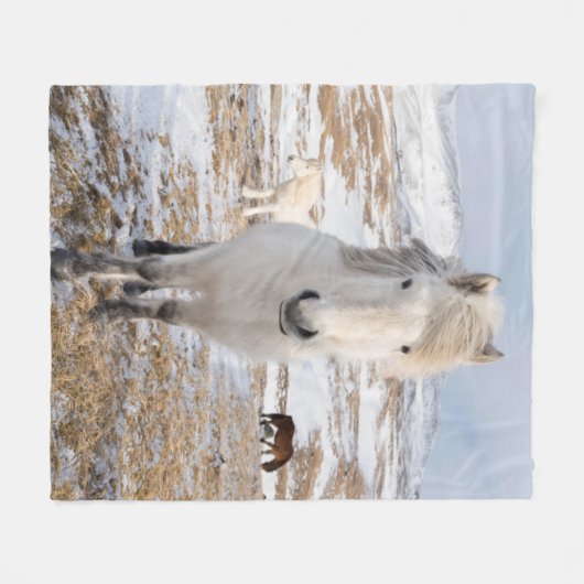 Couverture Polaire Cheval Blanc Islandais, Islande (Devant (Horizontal))