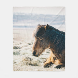 Couverture Polaire CHEVAL Brown SITUÉ SUR GRASS PRÈS DE LA PLAGE