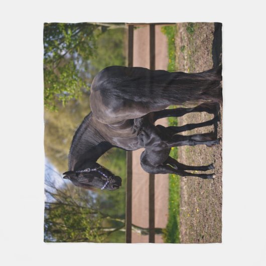 Couverture Polaire Cheval de mamans et de bébé (Devant)