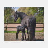 Couverture Polaire Cheval de mamans et de bébé (Devant (Horizontal))