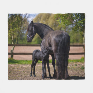 Couverture Polaire Cheval de mamans et de bébé