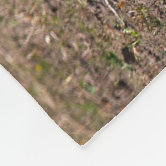 Couverture Polaire Cheval de mamans et de bébé (Coin)