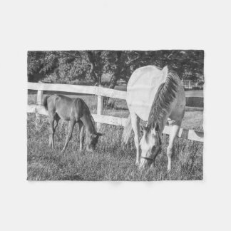 Couverture Polaire Cheval et Poulin Animaux Noir et Blanc