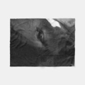 Couverture Polaire Cheval fbcnm (Devant (Horizontal))