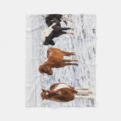 Couverture Polaire Cheval islandais avec manteau d'hiver typique (Devant)