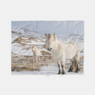 Couverture Polaire Cheval islandais Blonduos, Islande