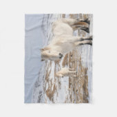 Couverture Polaire Cheval islandais | Blonduos, Islande (Devant)