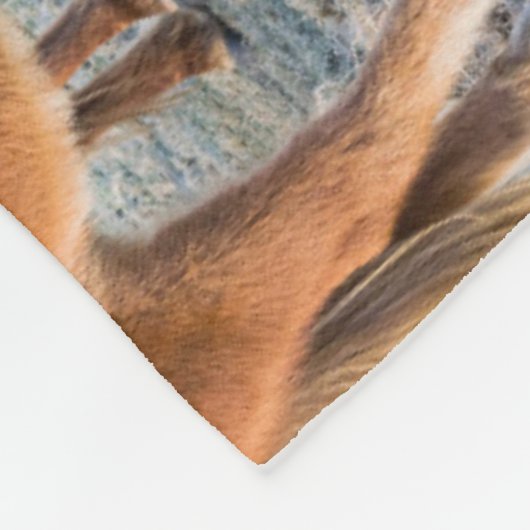 Couverture Polaire Cheval islandais en hiver en Islande (Coin)