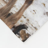 Couverture Polaire Cheval islandais en hiver Islande (Coin)