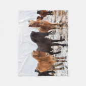 Couverture Polaire Cheval islandais en hiver Islande (Devant)