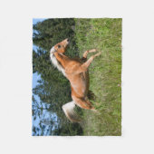 Couverture Polaire Cheval Palomino traversant une prairie (Devant)