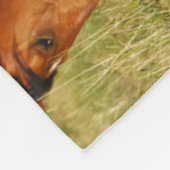 Couverture Polaire Cheval sauvage Mère et Colt pâturage (Coin)