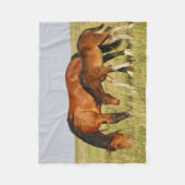 Couverture Polaire Cheval sauvage Mère et Colt pâturage (Devant)