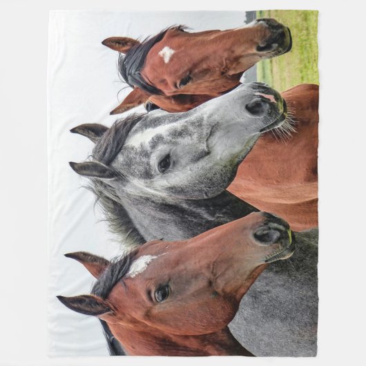 Couverture Polaire Chevaux (Devant)