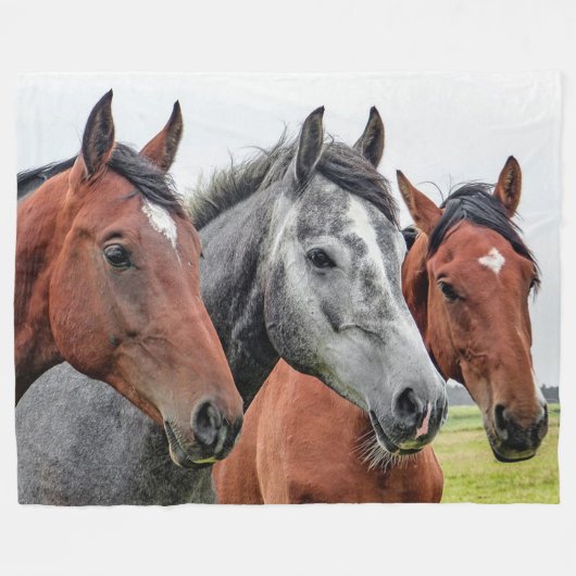 Couverture Polaire Chevaux (Devant (Horizontal))