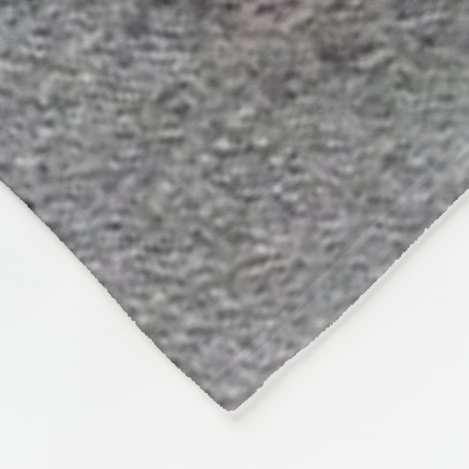 Couverture Polaire Chevaux (Coin)