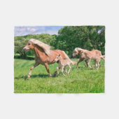 Couverture Polaire Chevaux de Haflinger avec de mignons poulains Cour (Devant (Horizontal))