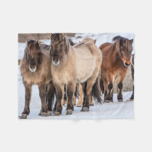 Couverture Polaire Chevaux islandais en hiver près de Hofn, Islande