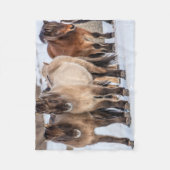 Couverture Polaire Chevaux islandais en hiver près de Hofn, Islande (Devant)