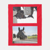 Couverture Polaire Chevaux mâcher sur une clôture (Devant)