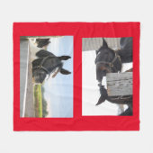 Couverture Polaire Chevaux mâcher sur une clôture (Devant (Horizontal))