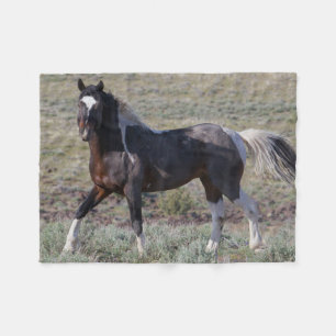 Couverture Polaire Chevaux sauvages après un bain de poussière