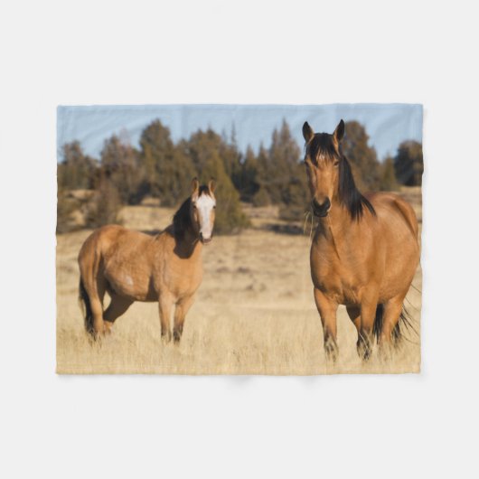 Couverture Polaire Chevaux sauvages, montagnes de Steens (Devant (Horizontal))