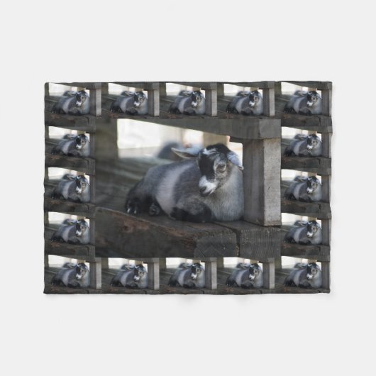 Couverture Polaire Chèvre (Devant (Horizontal))