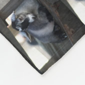 Couverture Polaire Chèvre (Coin)