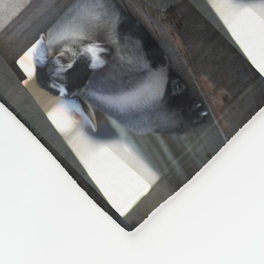 Couverture Polaire Chèvre (Coin)